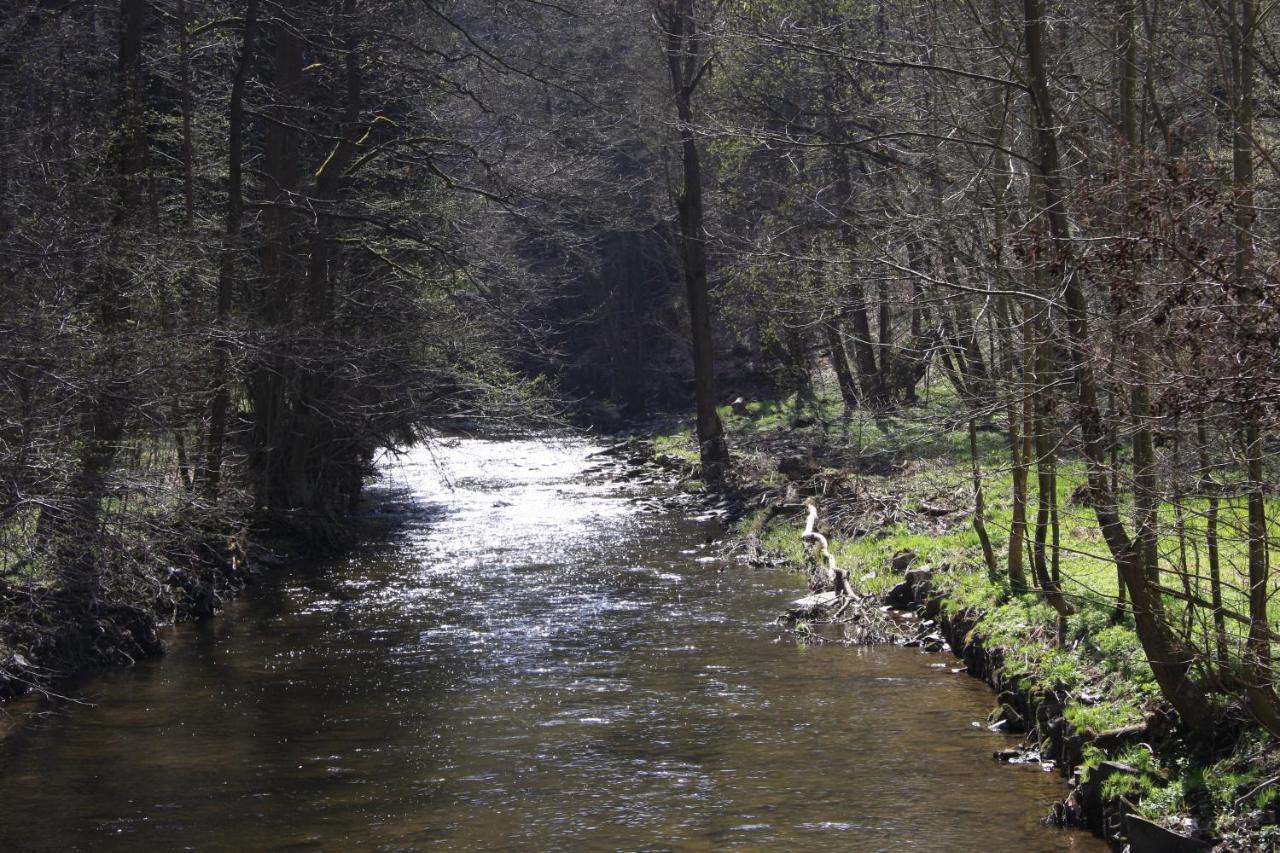 Hotel Waldfrieden Elsterberg Eksteriør billede