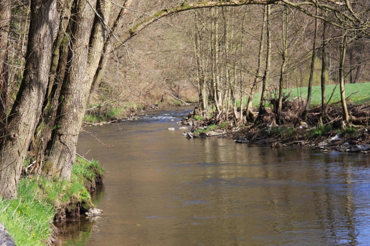 Hotel Waldfrieden Elsterberg Eksteriør billede